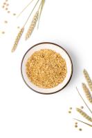 Концентрат белковый растительный «Протелон» пшеничный
